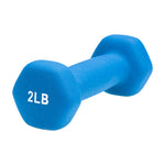 Load image into Gallery viewer, hand weight blue 2 pounds
